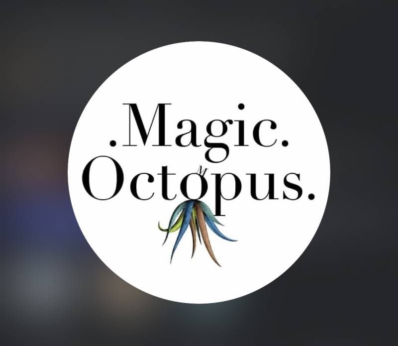 Events International / Magic Octopus