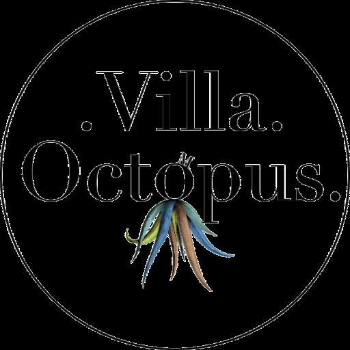 Location Villa International / VILLA OCTOPUS