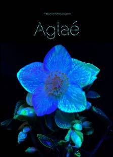 Végétal luminescent International / AGLAE
