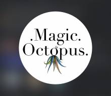 Events International / Magic Octopus