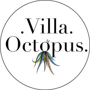 Location Villa International / VILLA OCTOPUS